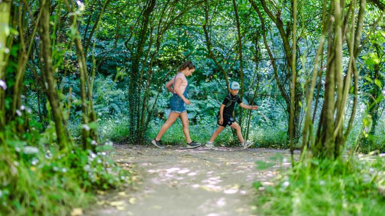 Children walking the route of a labyrinth inside a willow chamber