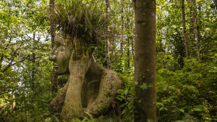 A view through the trees of the Eve sculpture which is a figure set in the landscape