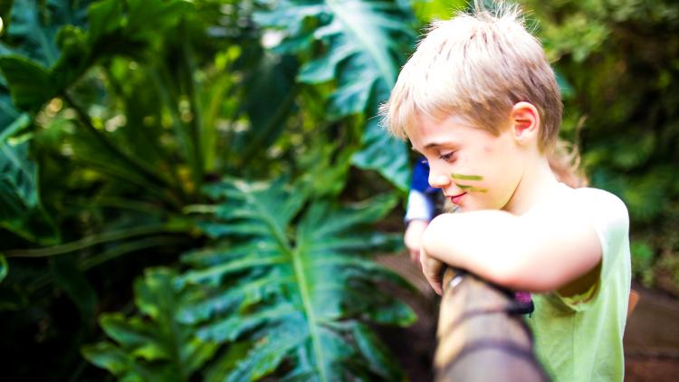 A young boy with face paint looking over the bridge 
