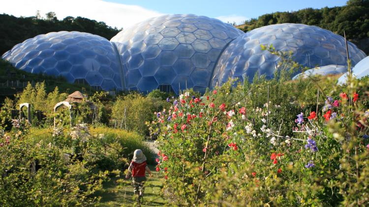 A young child walking through the outdoor gardens with the biomes straight ahead