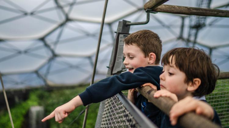 Pupils looking over the side of Eden's Rainforest Lookout