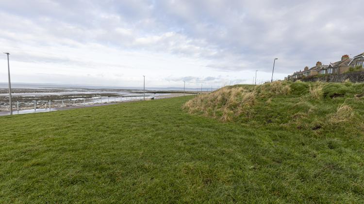 Wildflower meadow site