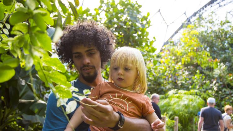 Adult and child looking at flowers