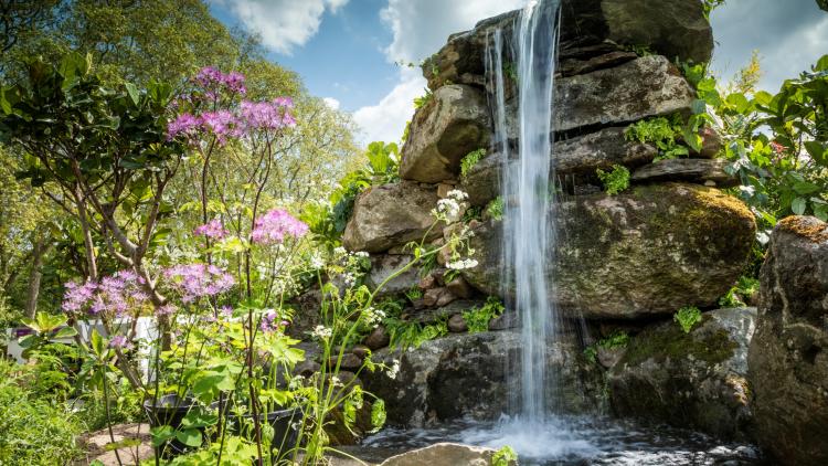 Waterfall surrounded by plants at the Chelsea Flower Show