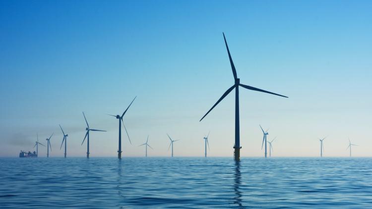 Offshore wind farm
