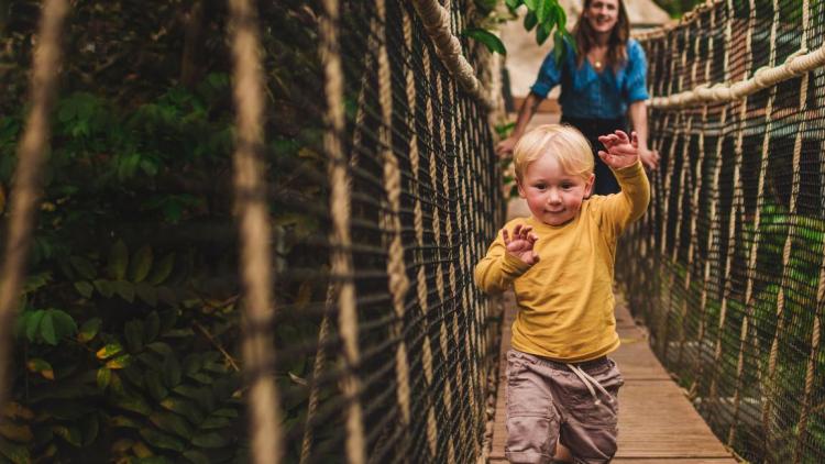 Mother and son on Rainforest Biome wobbly bridge - Eden Project