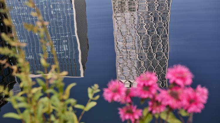 Eden Dock at Canary Wharf