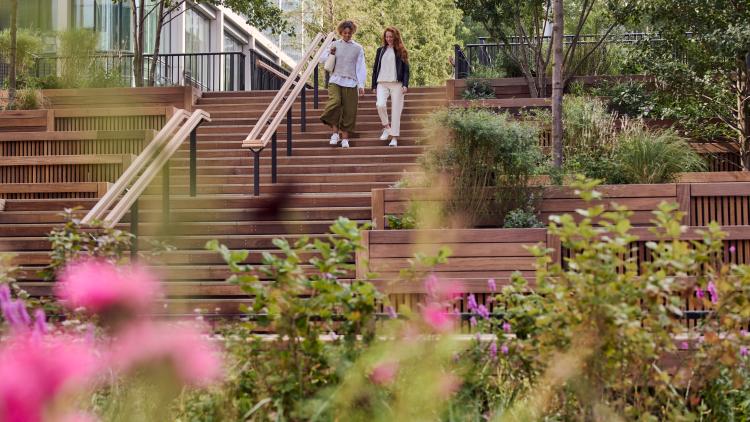 Eden Dock at Canary Wharf