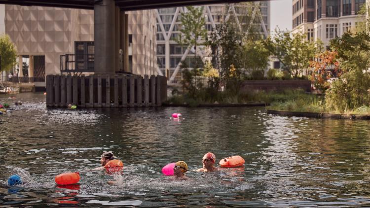 Eden Dock at Canary Wharf