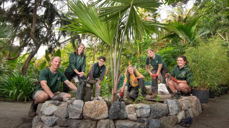 Members of the Eden Project Rainforest Biome team pictured with the Tahina spectabilis