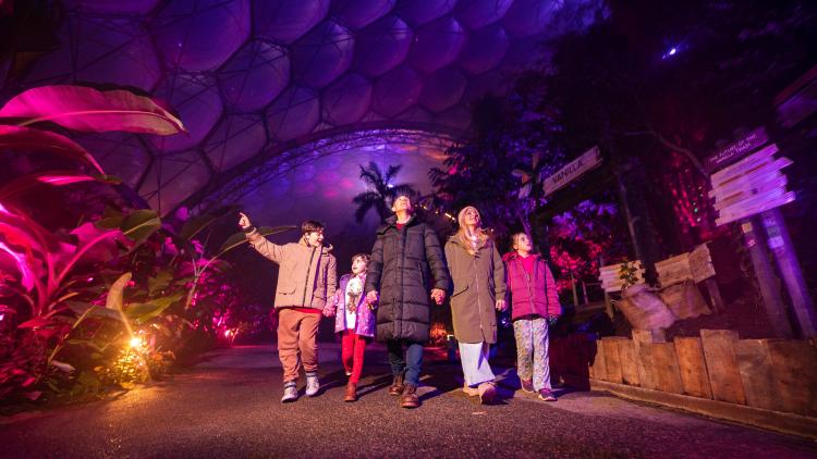 Family walking through the Christmas lights in the Eden Project's Rainforest