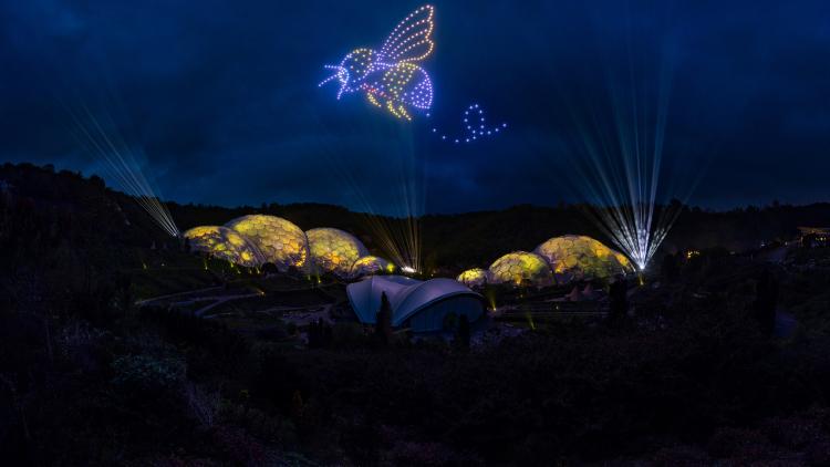 Lit drones in the shape of a bee over the Biomes