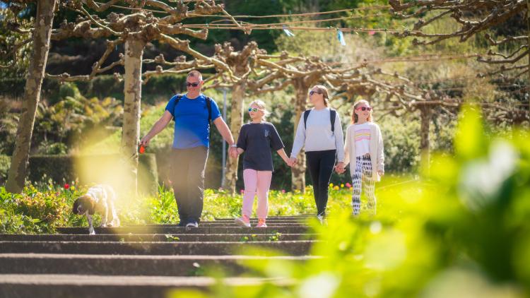 Family walking under trees and down steps