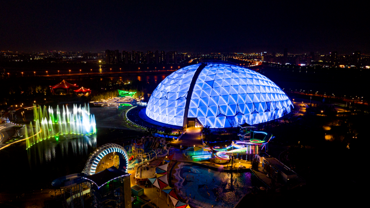 The Storm Forest at Night from the outside
