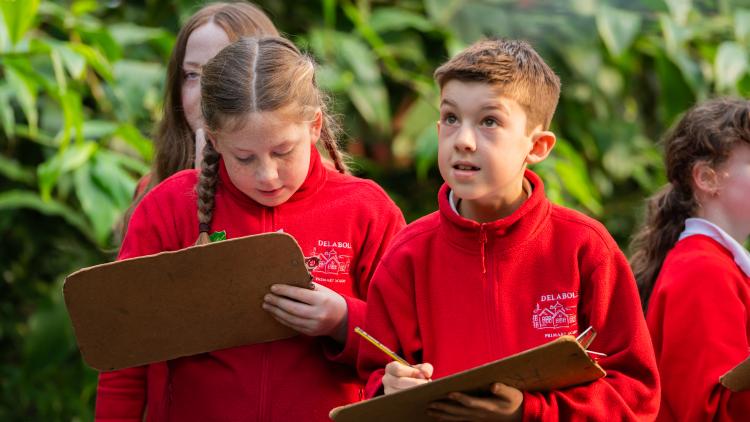 School kids in the Rainforest Biome with clip boards