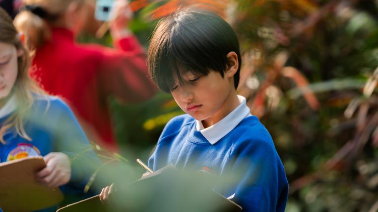 School kid in the Rainforest Biome looking at clip board around nature