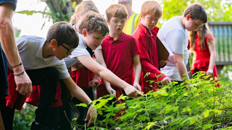 Group of school children looking at plants at the Eden Project