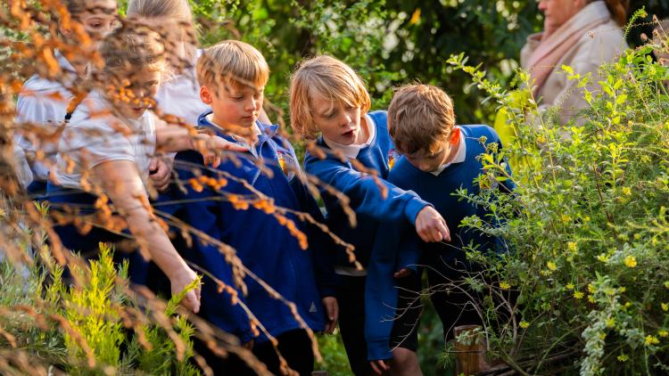 Group of school children wearing blue uniform in Med Biome