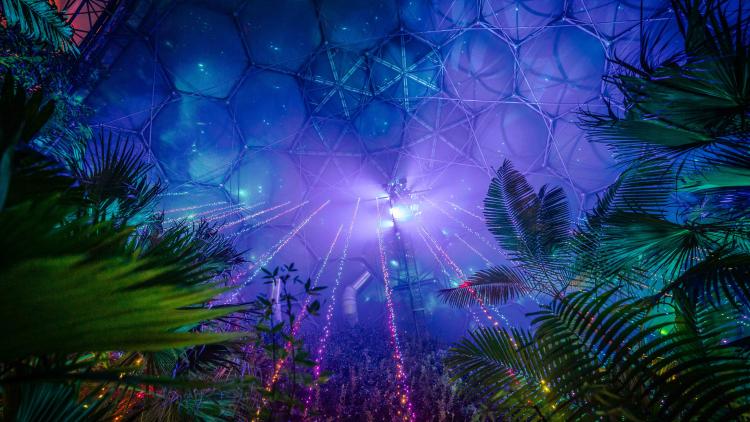 Christmas lights in Rainforest Biome