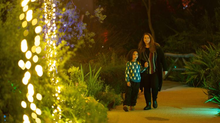 Family exploring the Christmas Lights in the Biome