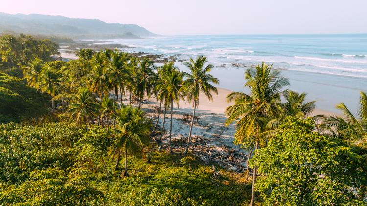 Costa Rica beach with lust tropical trees, white sand and blue sea