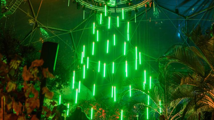 Up close shot of the centre piece Christmas installation lights in the Med Biome green lights dropping down representing a Christmas tree