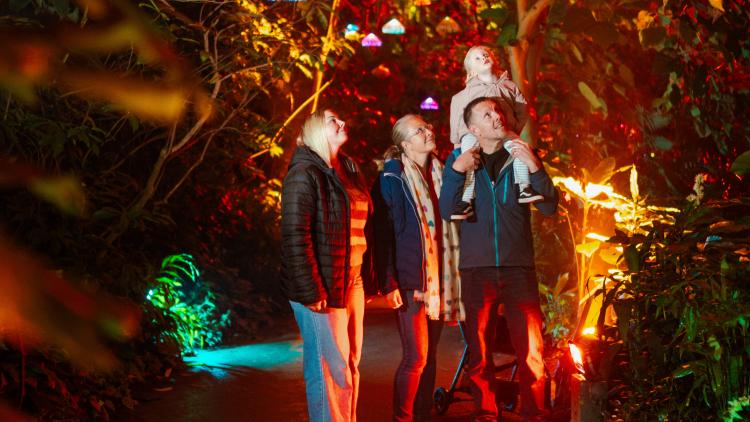 Family in the Rainforest Biome looking at up the festive jellyfish lights