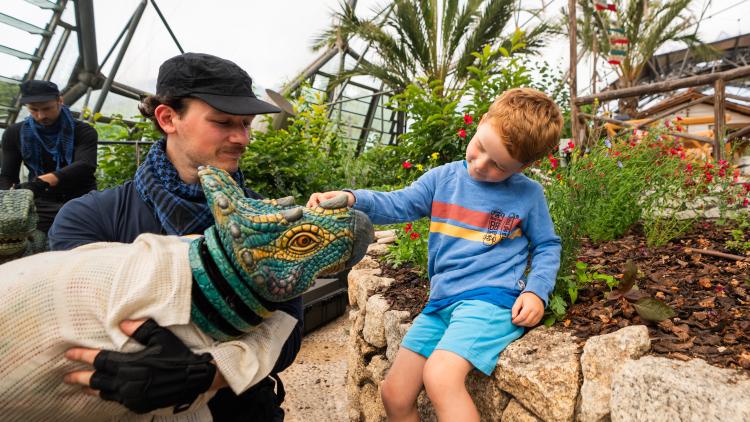 Young boy sat on a wall petting a small baby Triceratops puppet