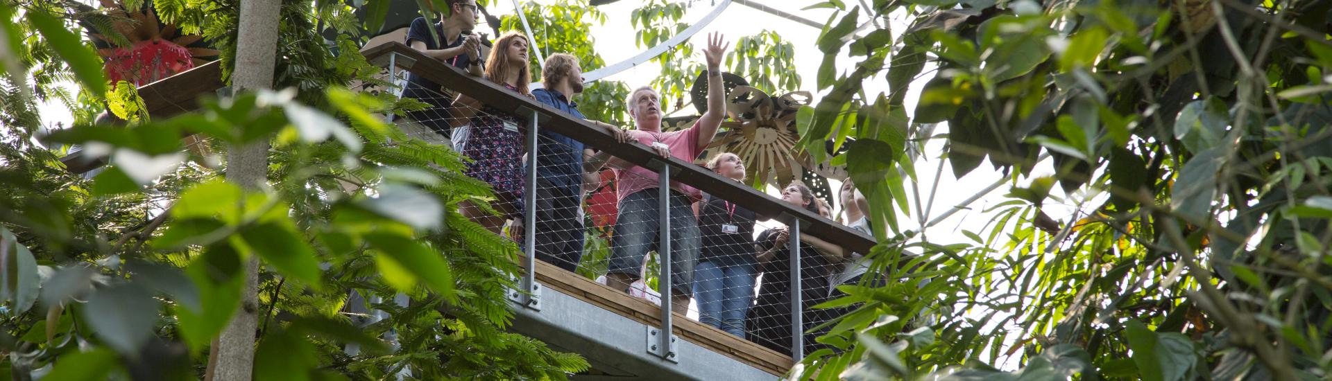 Students learning in the Rainforest Biome at the Eden Project