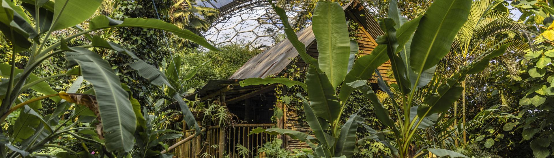Malaysian house in the Eden Project Rainforest Biome