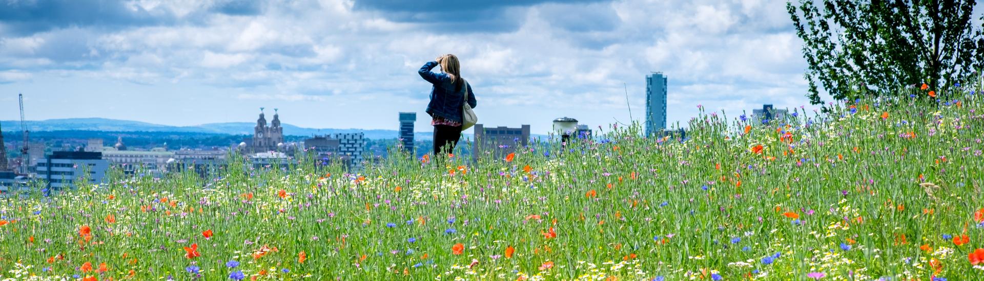 National Wildflower Centre Landscape