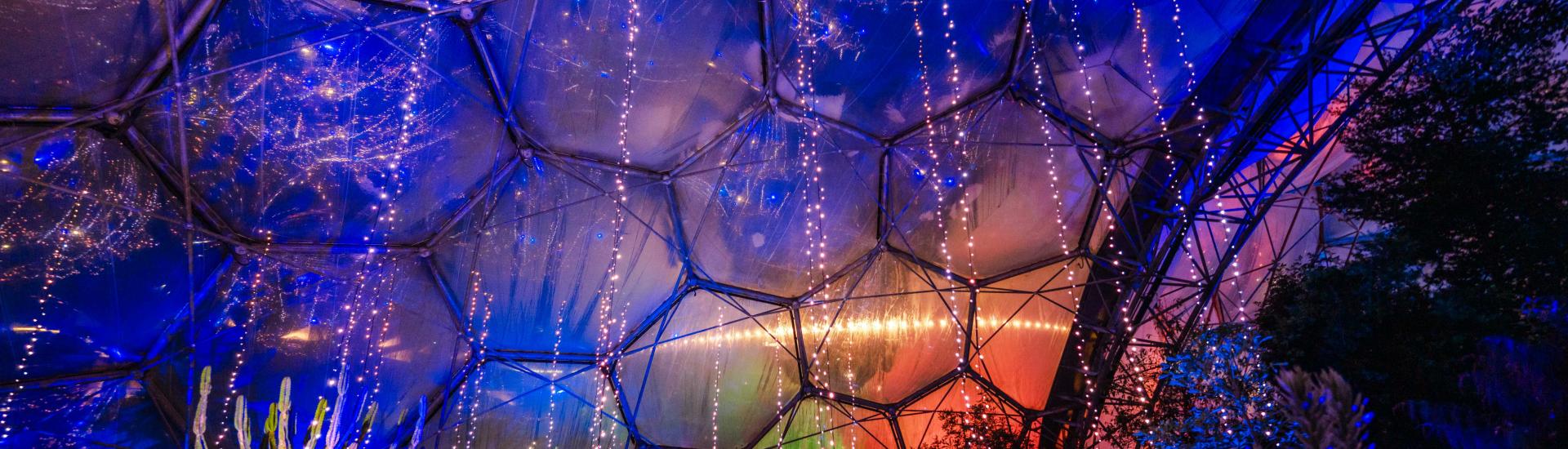 string-lights-eden-project-christmas.jpg