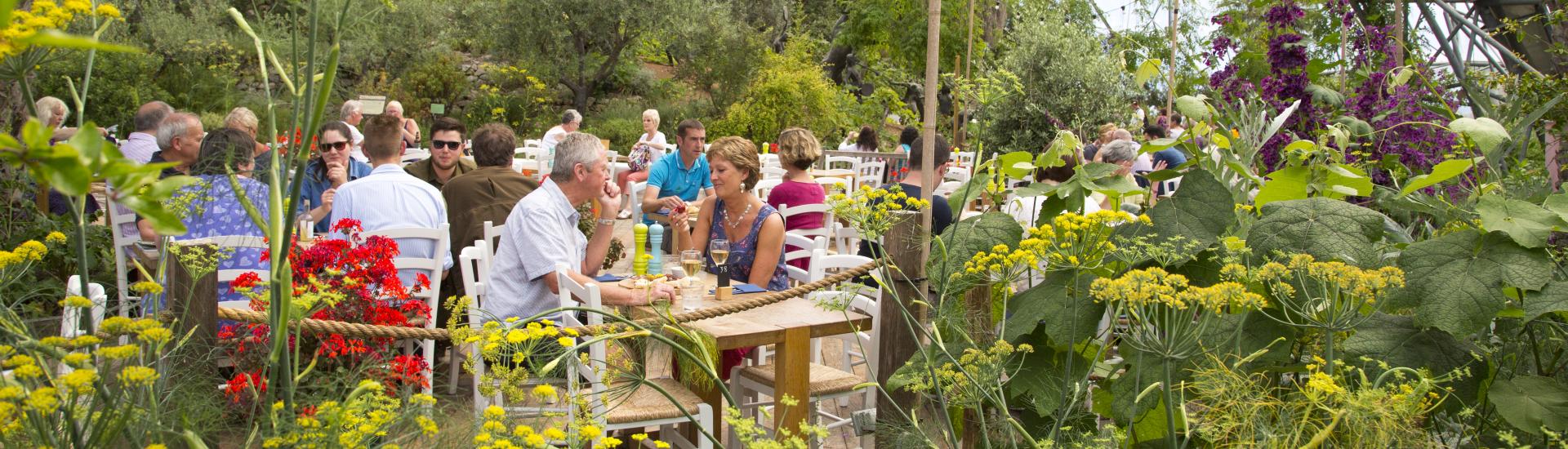 People dining in the Eden Project's Mediterranean Biome