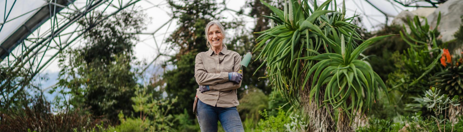 Gardener standing holding trowel in Eden Project Mediterranean Biome