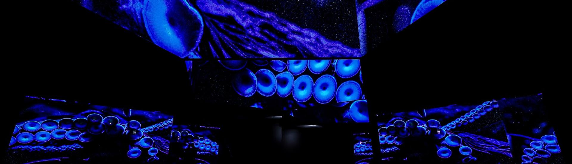 Octopus tentacles in immersive experience blue light show